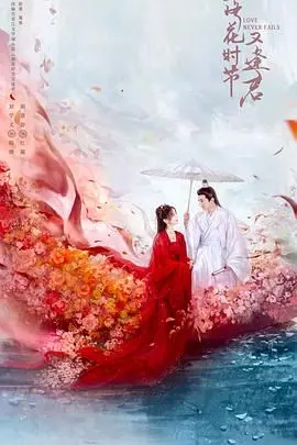 《落花时节又逢君2025》：穿越时空的爱恋，一场关于缘分与成长的古代情缘